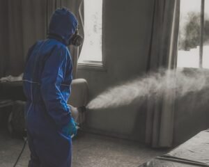 Désinfection Logement Aisne Solutions Entièrement Sûres et Professionnelles