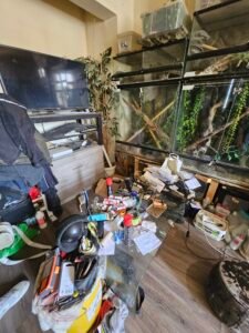Nettoyage Saint-Quentin Service Impeccable pour Votre Maison et Bureau